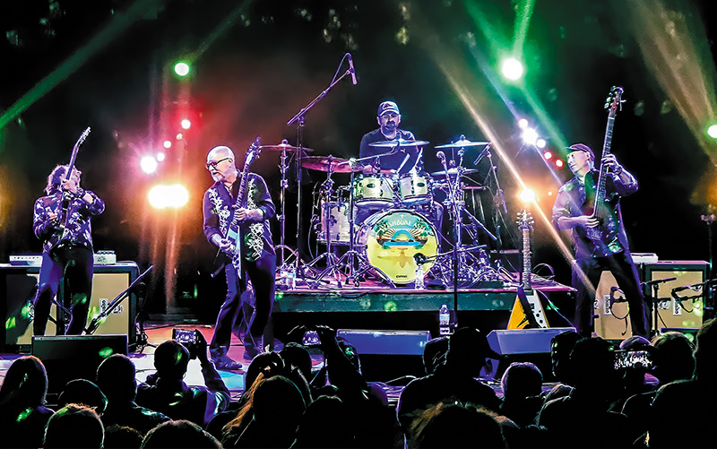 wishboneash